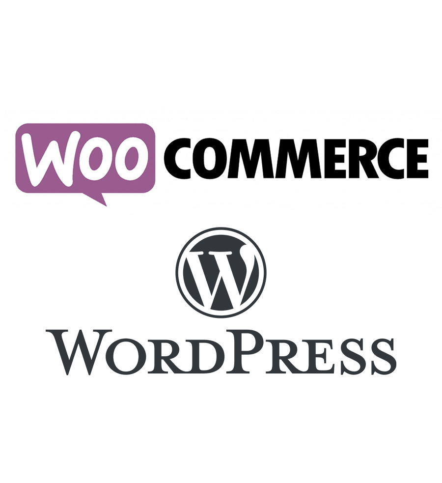 ssa L'ESSENTIEL DE WORDPRESS 5 ET WOOCOMMERCE – Image 1